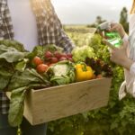 Pourquoi Ces 5 Machines Sont Indispensables pour les PME en Transformation Alimentaire