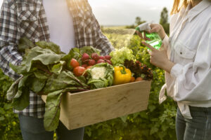 Pourquoi Ces 5 Machines Sont Indispensables pour les PME en Transformation Alimentaire